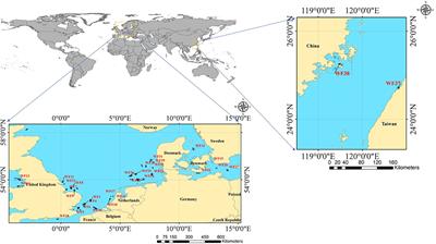 Offshore wind farms changed the spatial distribution of chlorophyll-a on the sea surface